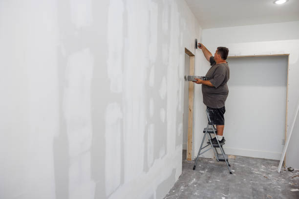 Best Mold Removal for HVAC Installations  in Chula Vista, CA