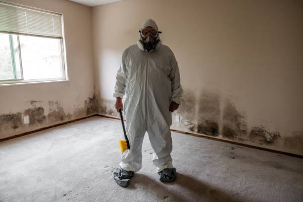 Best Commercial Mold Inspection  in Chula Vista, CA